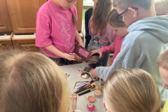 WhatsApp-Image-2026-03-05-at-11.50.48