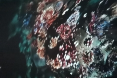 275114906_730575774775874_2415091835309575970_n
